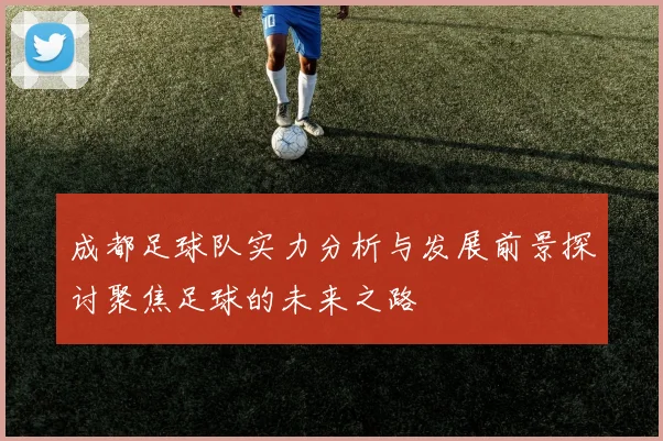 成都足球队实力分析与发展前景探讨聚焦足球的未来之路