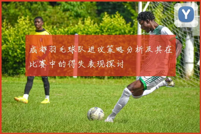 成都羽毛球队进攻策略分析及其在比赛中的得失表现探讨